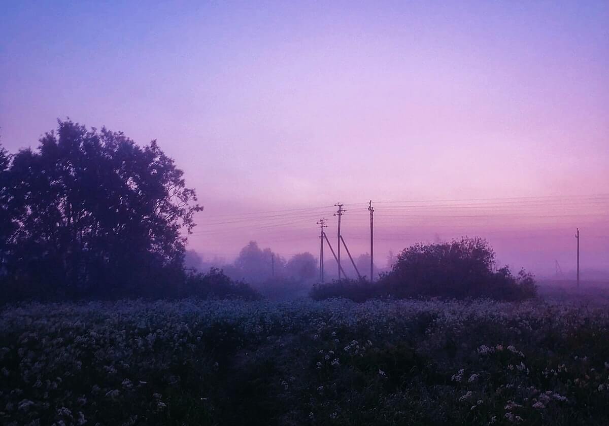 乐鱼官方-文图拉：我不应该执教意大利队 我应该早点辞职